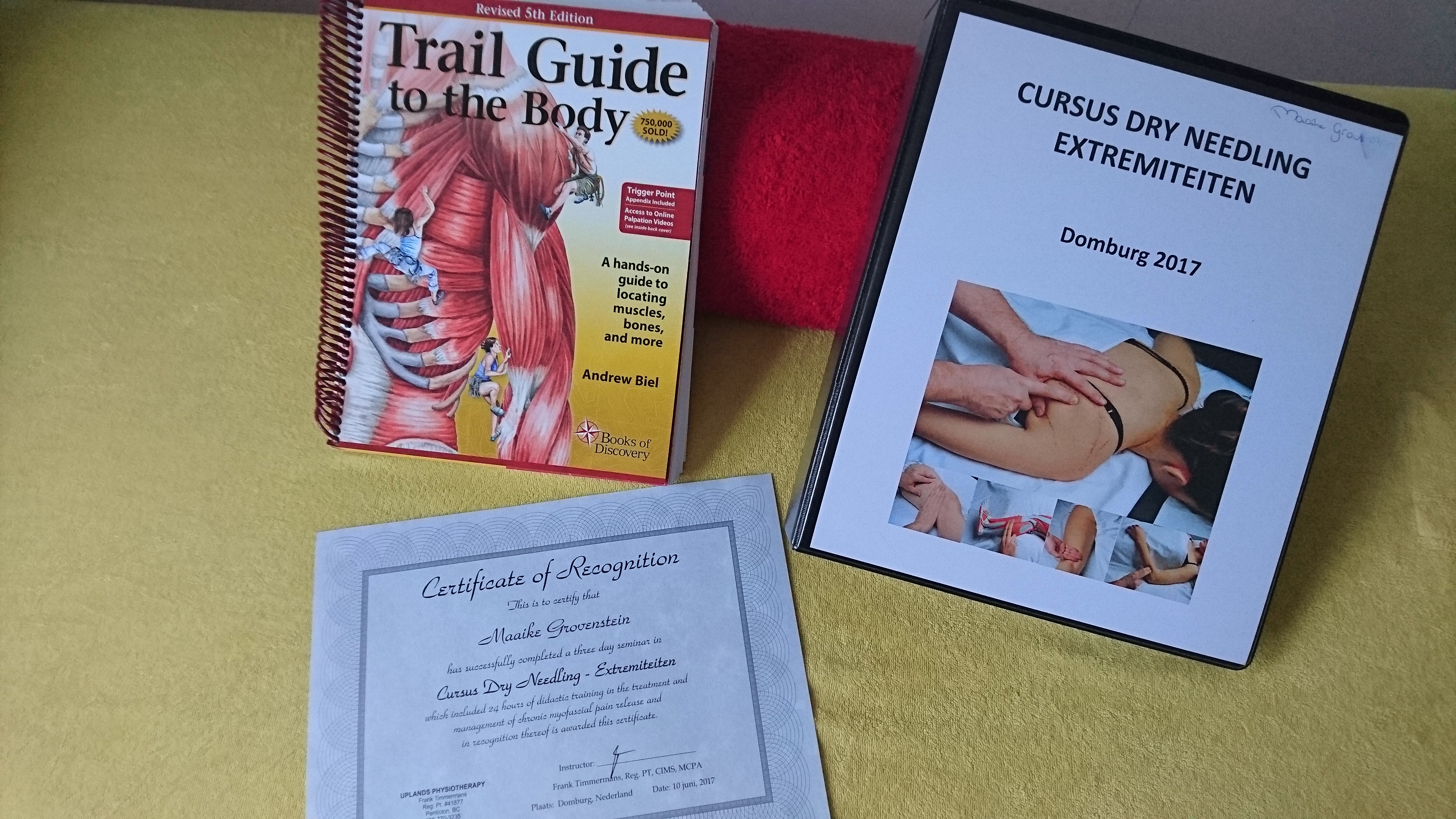 Dry Needling Zoetermeer Dry Needling Zoetermeer