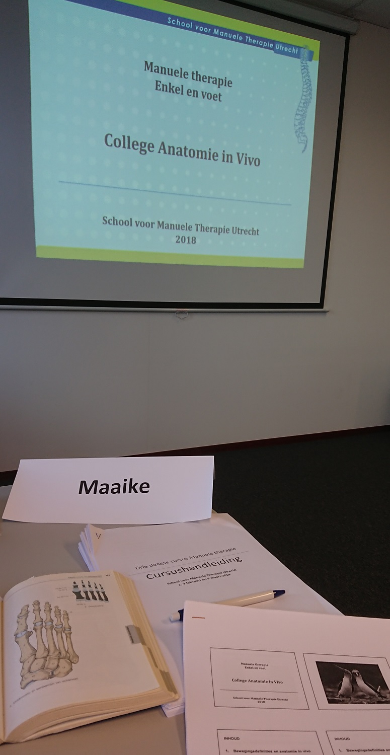 Cursus voet enkel Zoetermeer Fysiotherapie Cursus voet enkel Zoetermeer Fysiotherapie