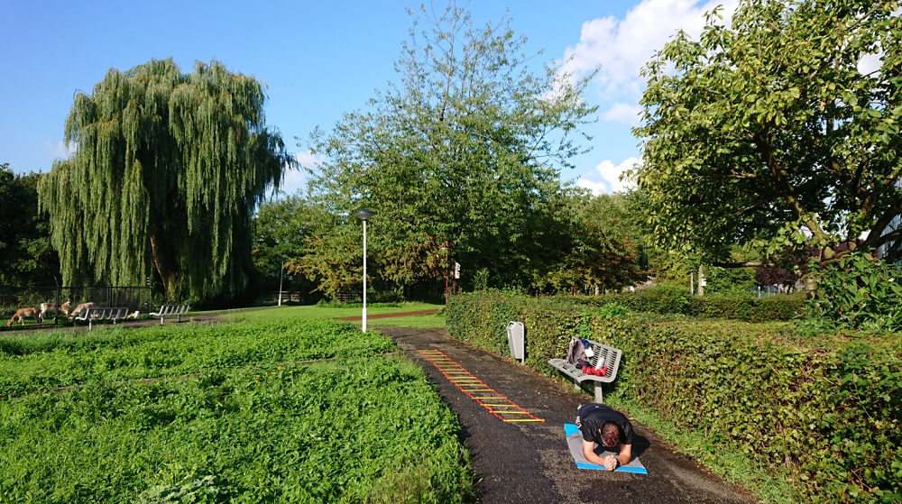 Personal Training Zoetermeer Personal Training Zoetermeer