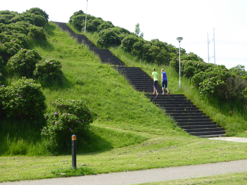 hoekstrapark-zoetermeer-rokkeveen-personal-training hoekstrapark-zoetermeer-rokkeveen-personal-training