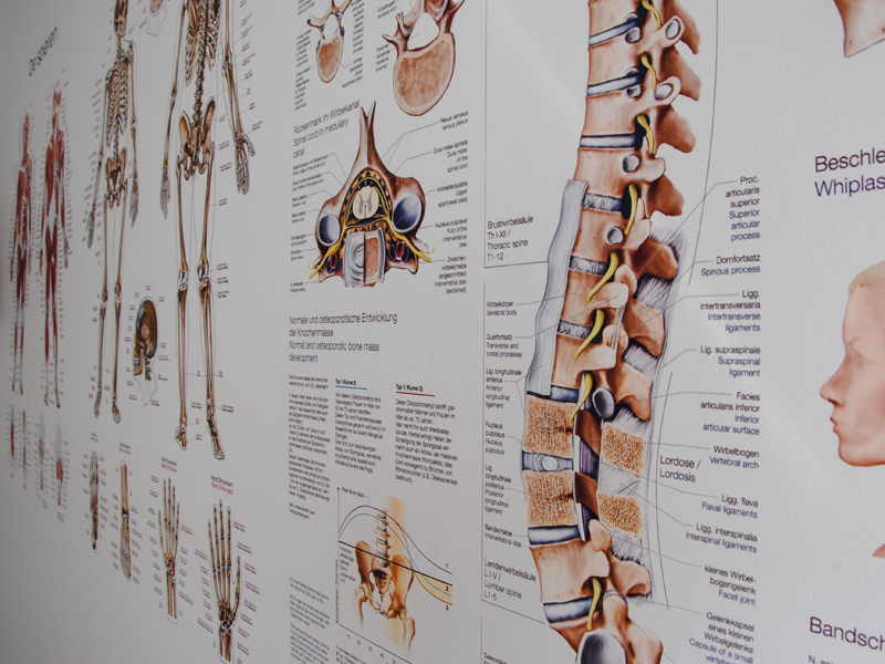 rokkeveen-fysiotherapie-zoetermeer rokkeveen-fysiotherapie-zoetermeer
