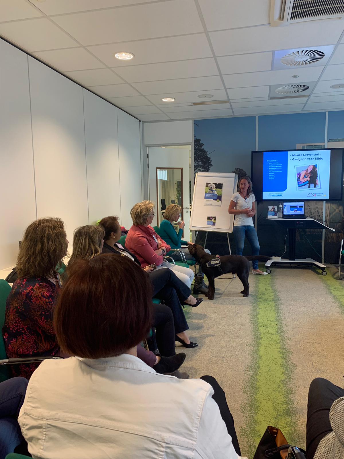 hulphond-tjibbe-stichting-zoetermeer hulphond-tjibbe-stichting-zoetermeer