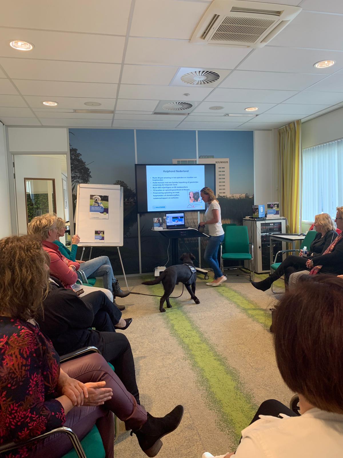 stichting-hulphond-zoetermeer-tjibbe stichting-hulphond-zoetermeer-tjibbe