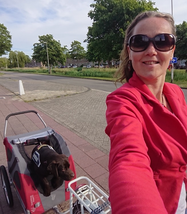 tjibbe-zoetermeer-hulphond tjibbe-zoetermeer-hulphond