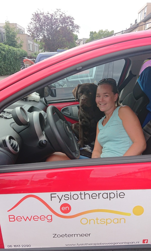 zoetermeer-wandelen-vierdaagse-fysiotherapie zoetermeer-wandelen-vierdaagse-fysiotherapie